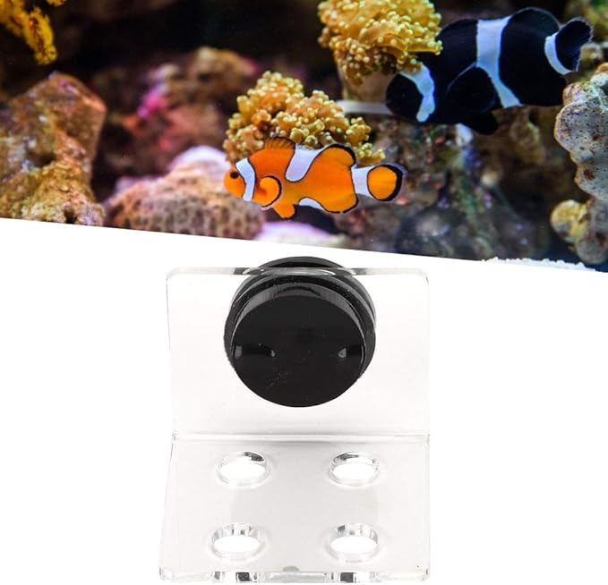 Fish Acrylic Bracket Base, Aquarium Rack Bracket Transparent Bracket Holder Frag Plugs Rack Suction Cup(4Holes)