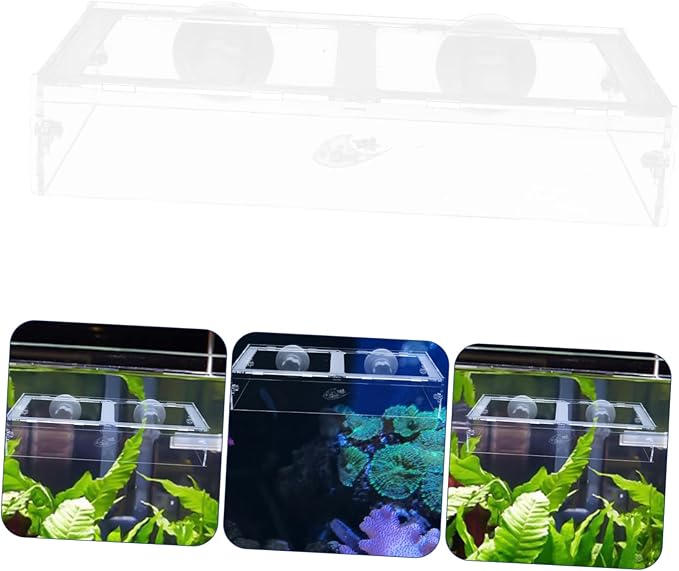 Happyyami 1pc Fish Tank Feeding Ring Aquarium Feeding Tool Aquarium Food Container Worm Feeder for Aquarium Automatic Fish Feeders Fish Tank Feeder Feeding Circle Sucker Fish Food Acrylic