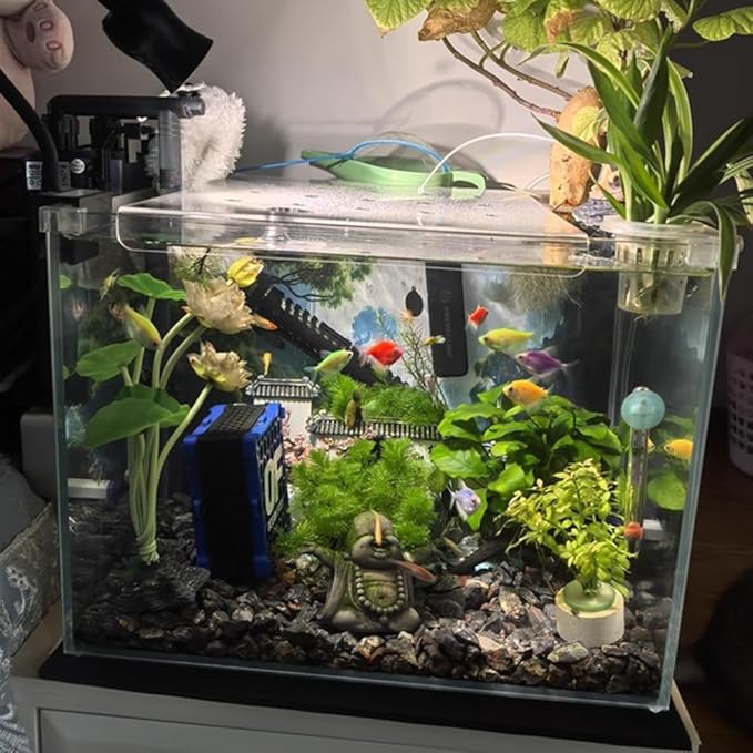 Rygcrud Custom Square Aquarium Hood with Feeding Port, Fish Tank Lid Cover Anti-Jumping, Acrylic Panel to Avoiding Cat Catching Fish(51x21.5cm)
