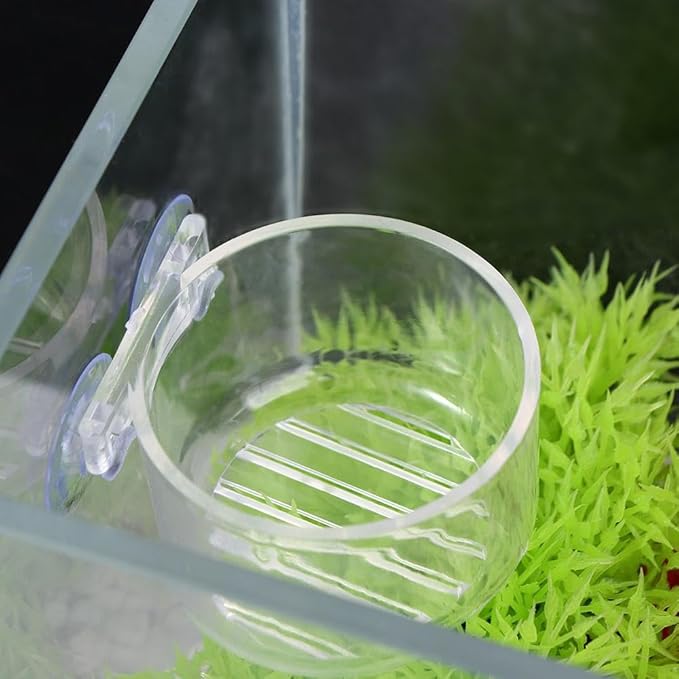 Fish Tank Plant Cup 6PCS Aquarium Growing Cups Acrylic Waterweed Cup Aquarium Decoration Plant Cup Pot with Suction Holder Mini Gardening Vase Feeder