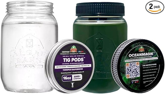 AlgaeBarn Pods & Phyto Combo, 3,000+ Tigriopus Live Marine Copepods + Live Phytoplankon