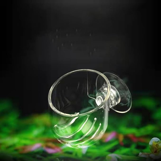 Pack of 10 Aquariums Plant Holder Suction Cup Designs Acrylic Feeding Bowl for Shrimp and Small Fish Feeding