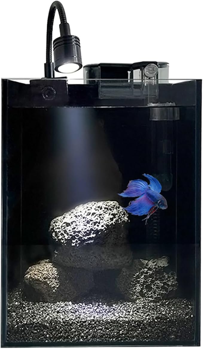 Betta Fish Tank kit,Small Nano Glass Fish Tank Start Kit with Filter,LED Light for Shrimp,Small Fish,Betta (1.5 Gallon)