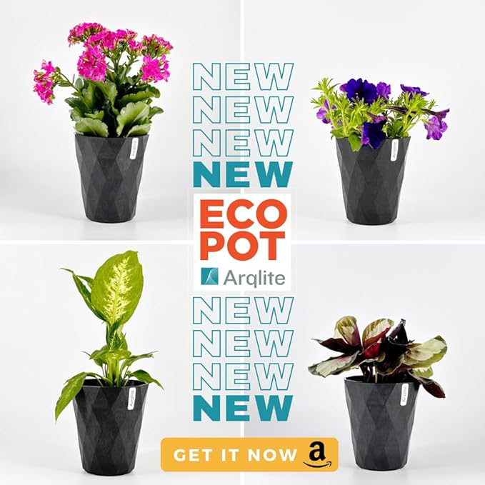 Arqlite Smart Gravel Eco Friendly Plant Drainage for Healthy Roots, Cactus, Succulents, Small Pots (1 Gal, Mini Size Bag)
