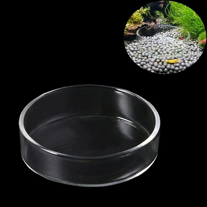 1PCS 60mm/65mm Aquarium Shrimp Feeding Dish, Glass Round Fish Feeder Bowl Reptiles Water Food Dish Clear Dishes Tray