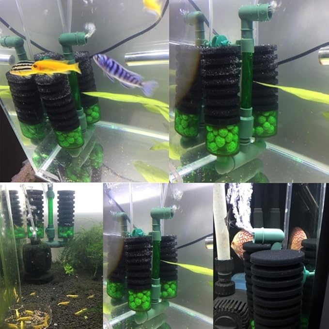 Aquarium Sponge Filter Dual Head Black Green Sponge with Filter Box Biofiltration and Oxygenation for Fish Tank Aquariums Under 23.6 Inch(QS-100A)