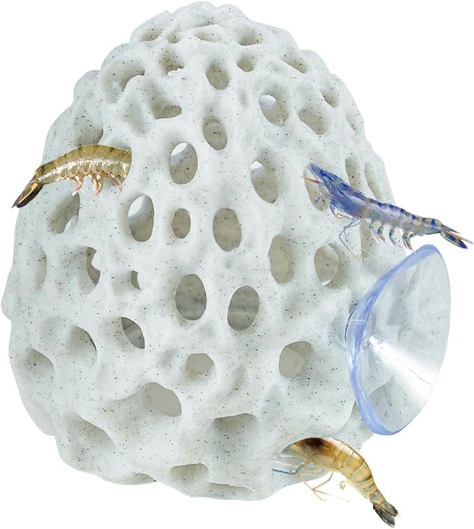 Shrimp Dome Hide, Shrimp Hides for Aquarium, Betta Fish Hideout with Suction Cup, Betta Habitat Tank Ornament Accessories, Aquarium Decor for Small Fish Guppy Hiding Resting (White)