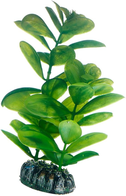 Hobby 51563 Saururus, 16 cm