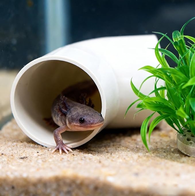 Axolotl Hide Tube and 2 Artificial Plants for Aquarium, Axolotl Cave and Aquatic Plant Set, Aquarium Decor Set, Safe Hide Tube & Green Plants for Axolotl, Fish, Turtles ,Fish, Tank Decorations Accesso