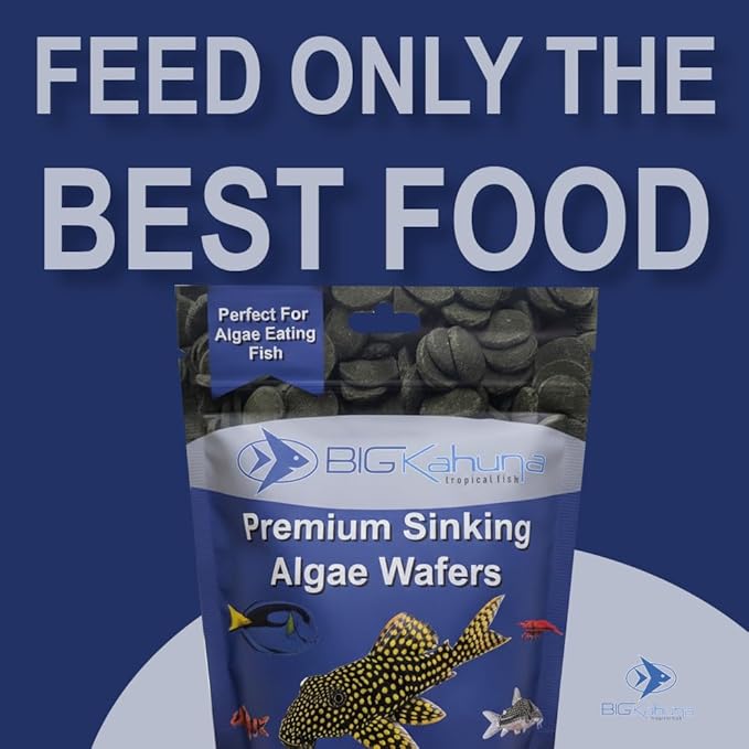 Small 8mm Algae Wafer - Algae Wafers for Bottom Feeders - The Best Pleco Wafers & Pleco Food Available - Algae Wafers for Snails (16 oz)