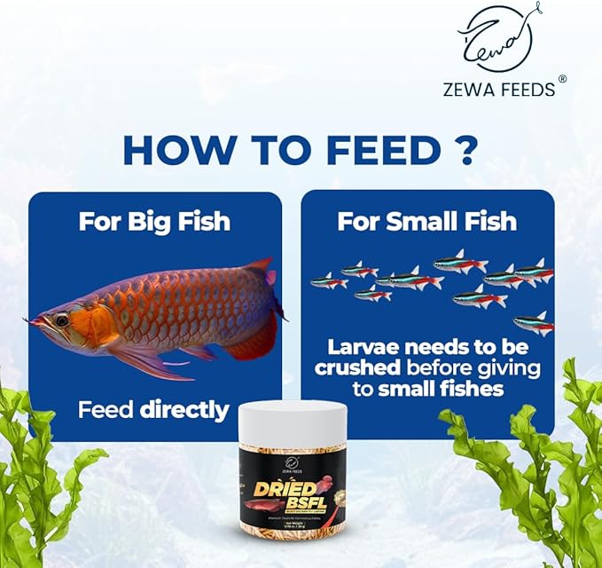 Dried Black Soldier Fly Larvae - 100% Natural Protein Rich Fish Food for Arowana, Flower Horn, Oscar, Koi, Cichlids, Discus, Redtail Shark (20 g/0.7 Oz/100 ml)