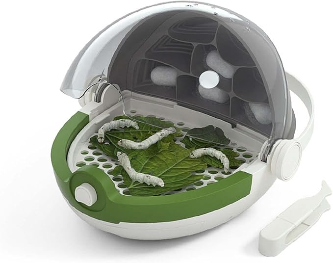MagiDeal Portable Silkworm Transport Container Kids Outdoor Toys Reptile Feeding Box Transparent Animal Habitat Cage for Pet Spiders Frogs Scorpions