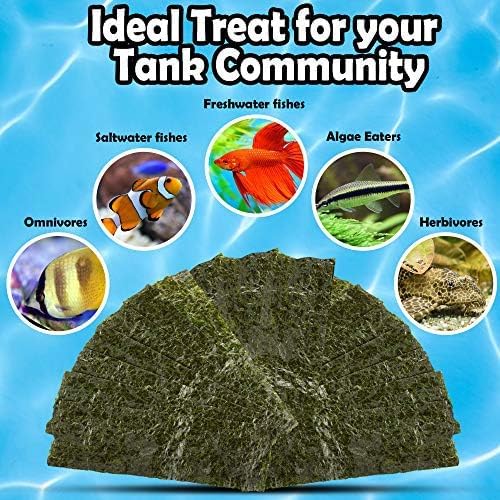 JOR 20 Seaweed Sheets for Tangs, Angels, Plecos, Shrimp, Snails, Nutrient- & Vitamin-Rich, Dried Snack for Bottom Feeders, Increased Palatability for Grazing Fish, 1 oz. Pet Feed