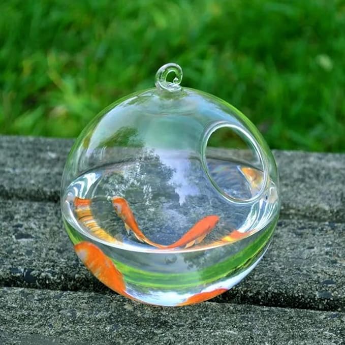 Spherical Glass Handmade Fish for Round Shape Hanging Glass Aquarium Fish Bowl Clear Plant Terrarium