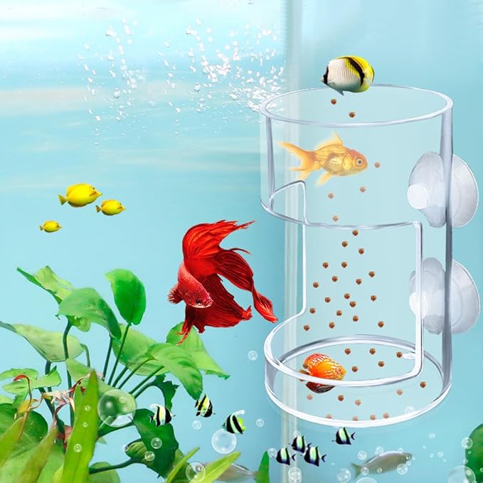 Suction Cup Fish Food Feeder for Aquarium, Acrylic Automatic Fish Feeding Ring with 1 Spoon, Round Transparent Aquarium Feeder Bird Shrimp Feeding Ring (Round)