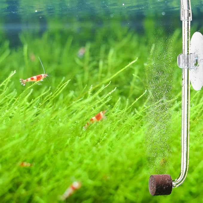 DONGKER Aquarium CO2 Diffuser,Acrylic Fish Tank CO2 Atomizer with Suction Cups for 4mm I.D. CO2 Air Tube(Up to 30cm Fish Tank)