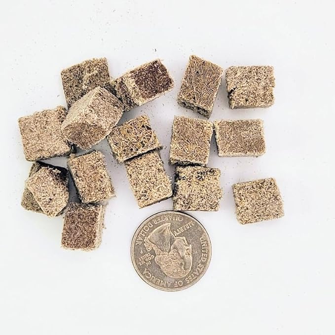 Plecoceramics Freeze-Dried Tubifex Cubes Protein-Rich Fish Food for Tropical & Aquarium Fish – Conditioning Feed for Growth, Color Enhancement & Breeding (0.7 oz / 20 g)