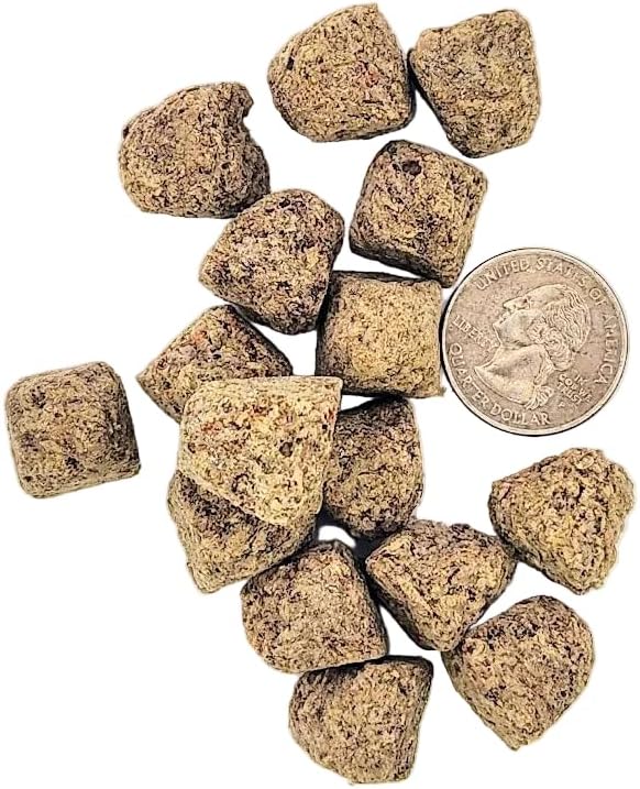 Plecoceramics Freeze-Dried Brine Shrimp Cubes Protein-Rich Fish Food for Tropical & Aquarium Fish – Conditioning Feed for Growth, Color Enhancement & Breeding (0.7 oz / 20 g)