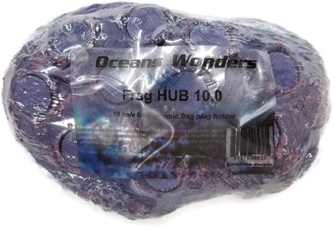 Oceans Wonders Coralline Purple Frag Hub 10.0 Coral Frag Plug Holder with 10 Plugs