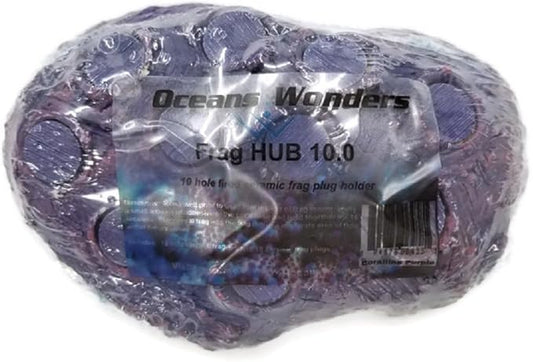 Oceans Wonders Coralline Purple Frag Hub 10.0 Coral Frag Plug Holder with 10 Plugs