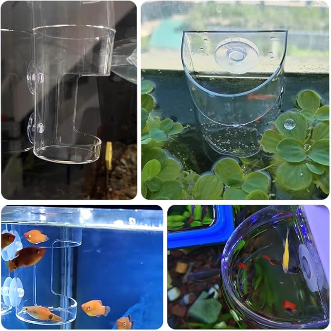 2PCS Round Fish Feeder with Suction Cup Fish Tank Feed Tray Feeding Tube Supplies Breeder Box for Aquarium