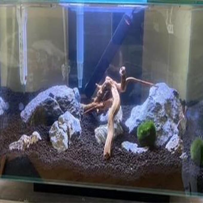 Emours Natural Aquarium Spider Wood Driftwood Tropical Fish Plant Habitat Decor Vary Sizes, 2 Pcs Set (Medium)