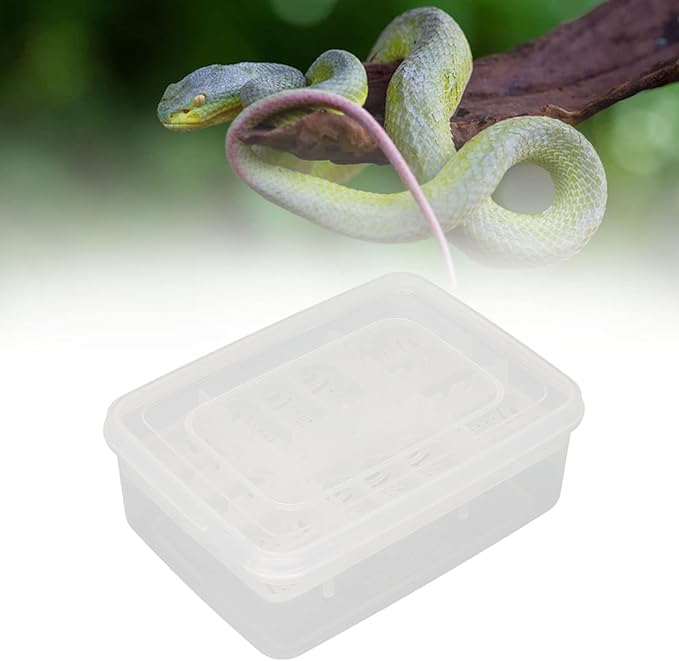 16 Grids Reptile Breeding Box,Reptile Incubator Professional Plastic Reptile Breeding Box Hatching Incubator for Amphibians Snakes Lizards Turtles Tortoises Geckos