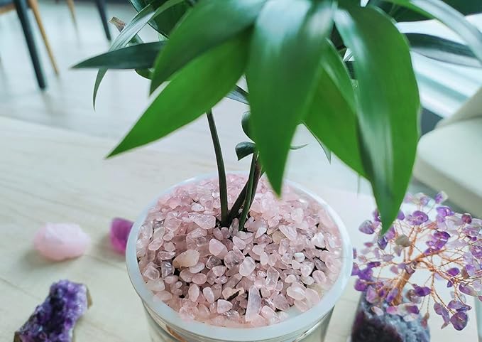 ZHIYUXI Rose Quartz Chips Fish Tank Gravel Vase Filler Stones Bulk Crushed Crystals Gemstone Polished Natural Quartz Stone Healing Crystals Glass Stones Fish Rocks