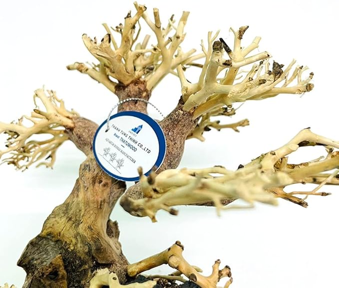 Bonsai Driftwood Aquarium Tree (8in H x 6in L), Handcrafted Fish Tank Decoration | Easy to Install Driftwood Bonsai for Fish Tank | Decor Aquascape Wood (Bonsai Tree On Rocks)