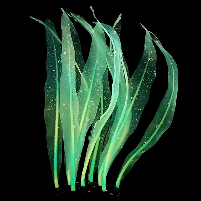 Aquarium Artificial Kelp Soft Silicone Plant Move With Water Flows 7 Inch High Realistic Seaweed Fish Tanks Decorations Silicone Seaweed Aquarium Plant Kelp Aquarium Plant Decor Realistic Fish Tanks