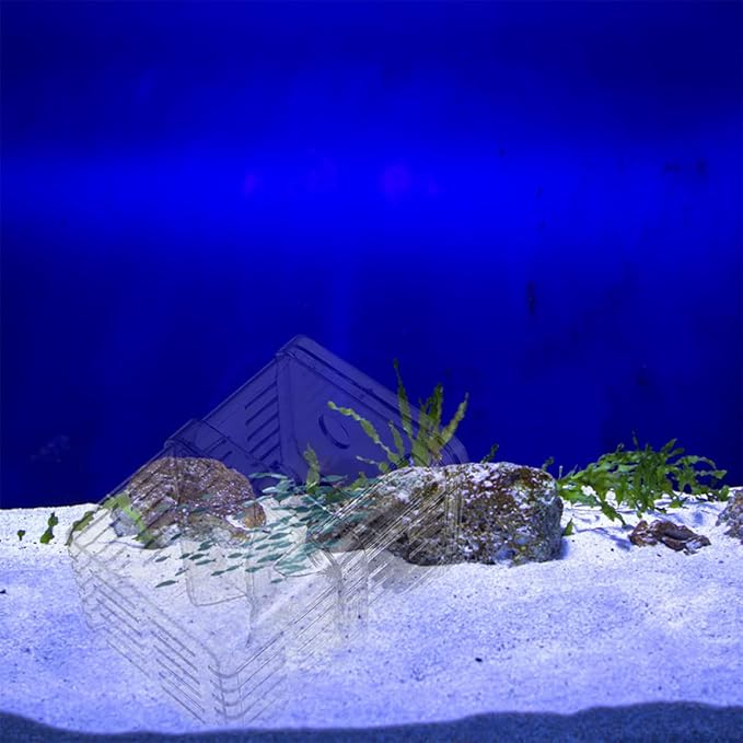 Fish Box, Fish Breeding Box Juvenile Breeding Aquarium Plastic Small