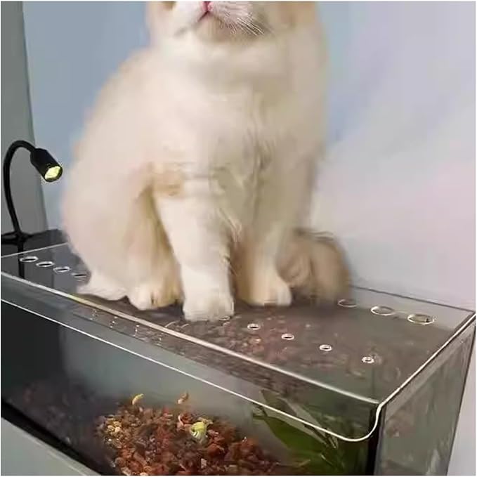 LZMZMQ Cat Proof Fish Tank Lid, Clear Acrylic Aquarium Cuttable Cover with Fresh Air Hole, Custom Terrarium Jumping Proof Hood, Avoid Cat Catching Fish(L42xW16in/106.7x40.6cm)