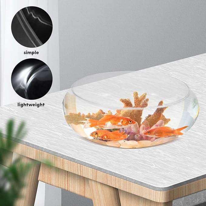 Large Glass Fish Bowl 9.84 Inch Transparent Desktop Aquarium for Goldfish, Hydroponic Plant Pot, Shallow Fish Tank for Home Decor