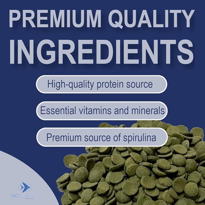 Medium 12mm Algae Wafer - Algae Wafers for Bottom Feeders - The Best Pleco Wafers & Pleco Food Available - Algae Wafers for Snails (8 oz)