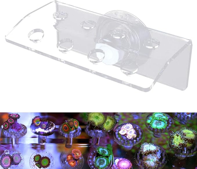 POPETPOP Coral Frag Rack-Acrylic Frag Tank Aquarium Coral Holder Live Fish Tank Button Reef Enhanced Suction Cup (8 Plug Holes)