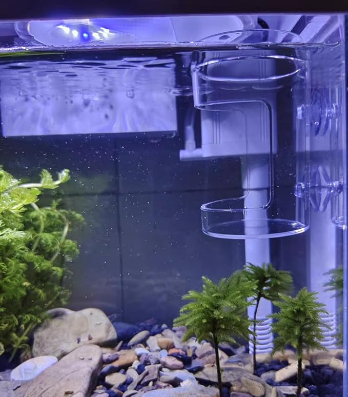 2PCS Round Fish Feeder with Suction Cup Fish Tank Feed Tray Feeding Tube Supplies Breeder Box for Aquarium