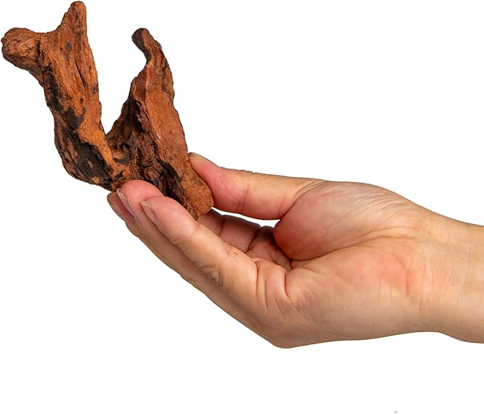emours Natural Driftwood Small Aquarium Driftwood, 4-6", Natural Twisted Branches, Low-Tannin, Great for Shrimp/Betta & Nano Aquascapes, Also for Reptile Terrariums (10)