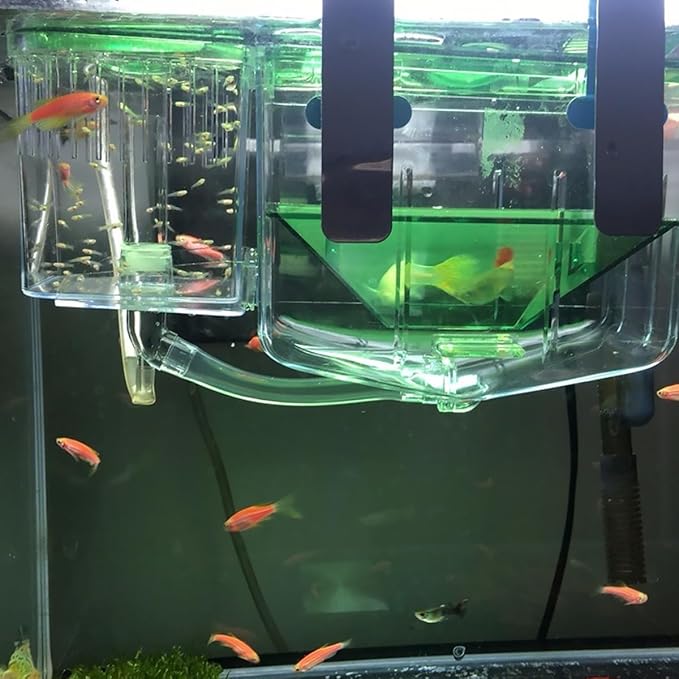 3pcs Box Aquarium Breeding Tank Isolated Breeding Tank Fish Hatching Boxes Breeding Tank for Fish