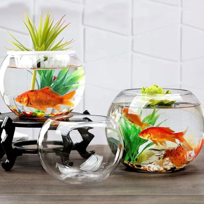 IMIKEYA Glass Bubble Bowl Bowl Glass Vase Clear Bubble Planter Terrarium Fish Bowl Wide Mouth Flower Vase Hydroponic Planter Candy Dish Fruit Jar for Wedding Home Decor 15cm
