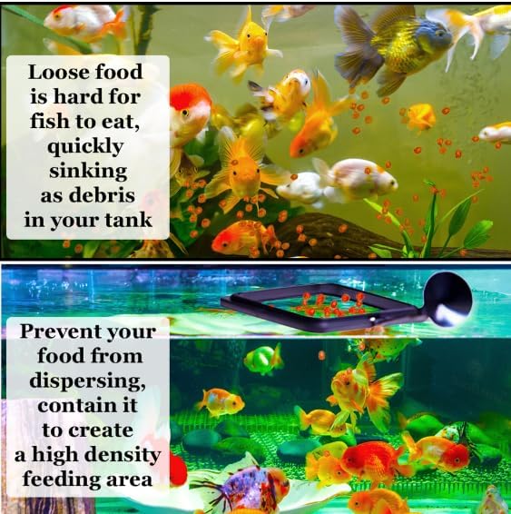 (2oz, Tetra Fish) Fish Food Species Specific - All Natural - Science Based Formula - Cleaner Water - Nutritional Powerfood for Special Fish Breeders, No Fillers
