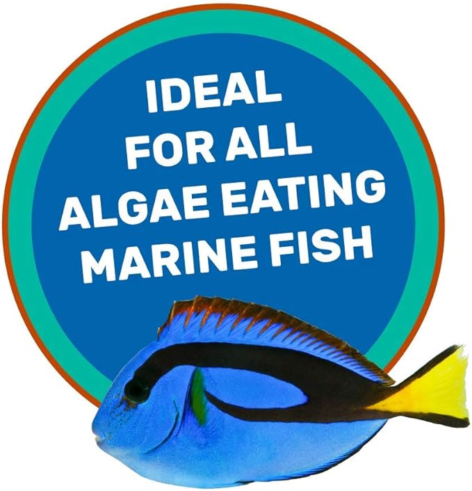 Hikari 042221 Marine Herbivore Medium Sinking Pellets Marine Fish Food, One Size