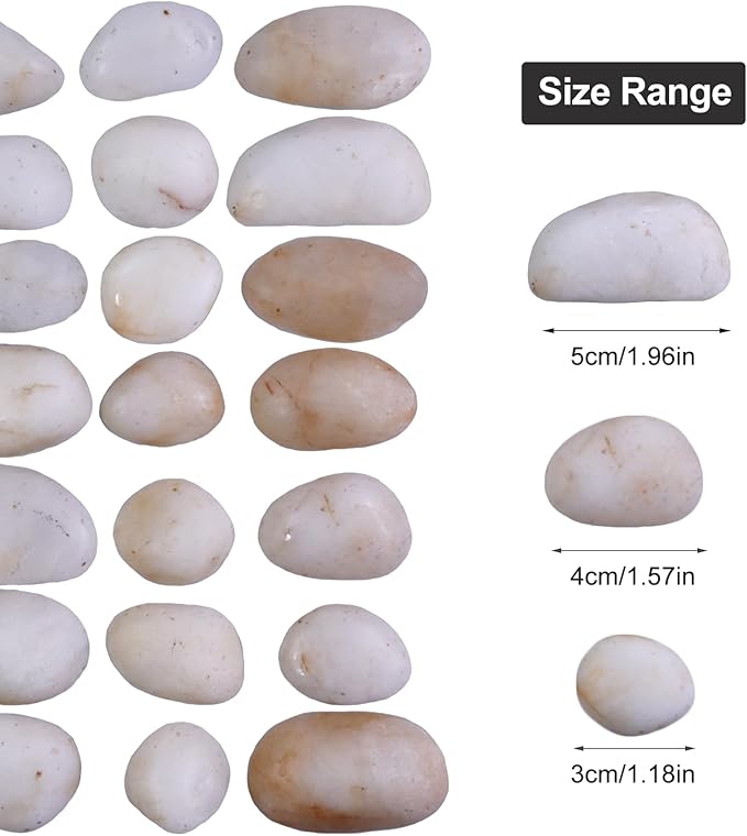10Ib Cream White River Rock- Decorative Pebbles for Plants - River Rocks for Outdoor Landscaping- 0.3"-0.8" inch High Polished Stones for Aquarium, Terrarium,Vases, Home Decor