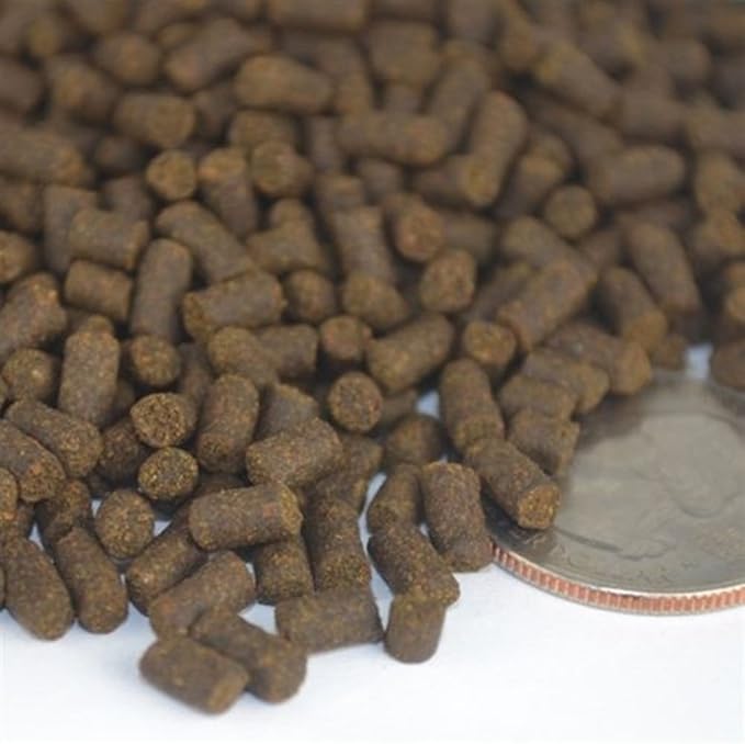 ANGIEHAIE Y.F.S. YFS Catfish Shrimp Sticks Pellets Tropical Bulk Bottom Feeder Fish Food 1/2 LB