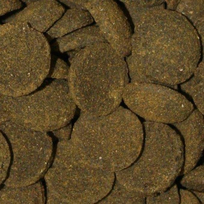 Omega One Veggie Rounds, 14mm Rounds, Sinking, 4 oz Container