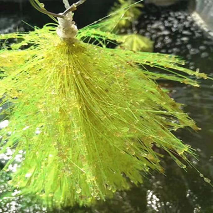 Pssopp 60cm/100cm Fish Breeding Grass Baby Fish Hideout Decorative Aquarium Grass for Aquarium Fish (100cm)