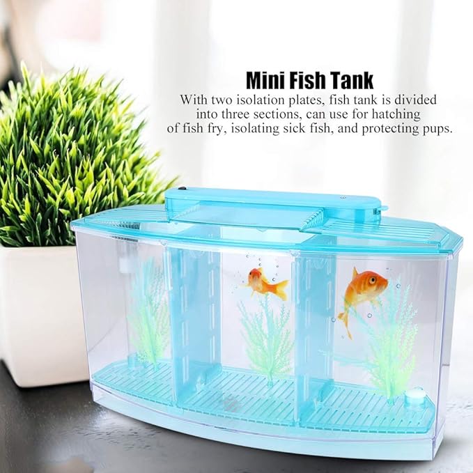 LIZEALUCKY Betta Fish Tank, Adjustable LED Light Acrylic Small Aquarium, Fish Tank Starter Kit with Isolation Plates and Water Change Valve, Blue