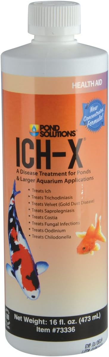 Hikari 69654 Ich-x Water Treatment Nutritional Supplements, 16 fl. oz.