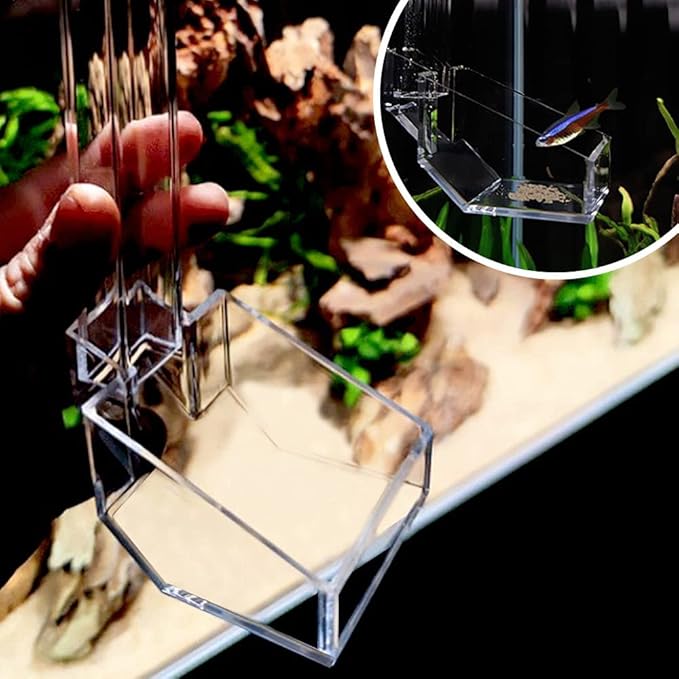Shrimp Fish Feeding Dish - Sky Restaurant - Betta & Aquarium Feeder - Prevents Spills, Easy Clean Up, Suitable for African Cichlids & Dwarf Frogs