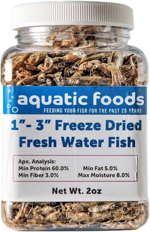 1"- 3" Fresh Water Freeze Dried Fish for Piranha, Large Fish, Turtles, Cats, Sugar Glider, Marmosets, Chinchillas, Squirrels, Hamsters…2oz Small Jar