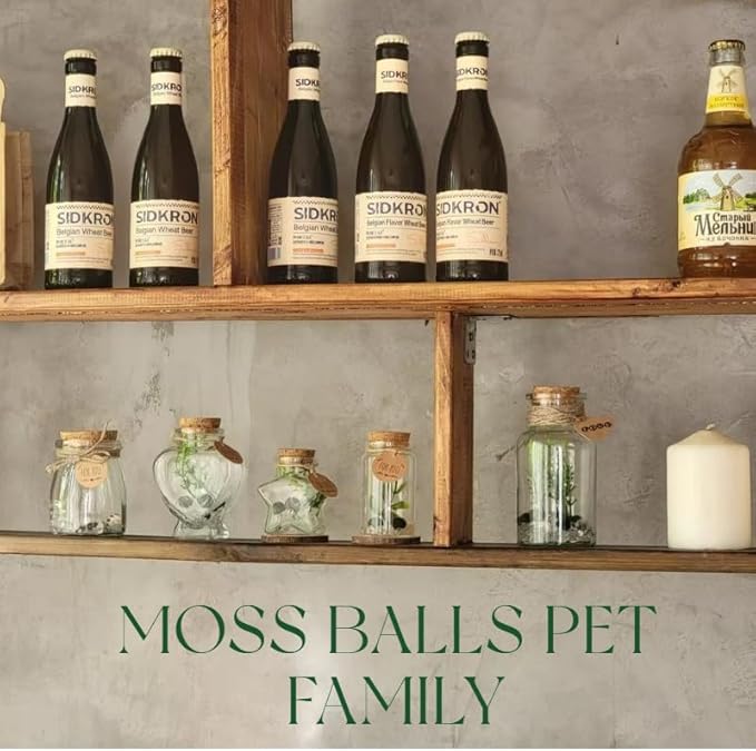 Moss Balls Glass Terrarium Kit,7 Pcs Lucky Moss Balls Pets,White Crystal,Artificial Plants,Aquarium Decor DIY Starter with Moss for Adults and Kids, Green Decor